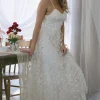 Dana Butterfly Mesh Dress