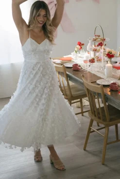 Dana Butterfly Mesh Dress